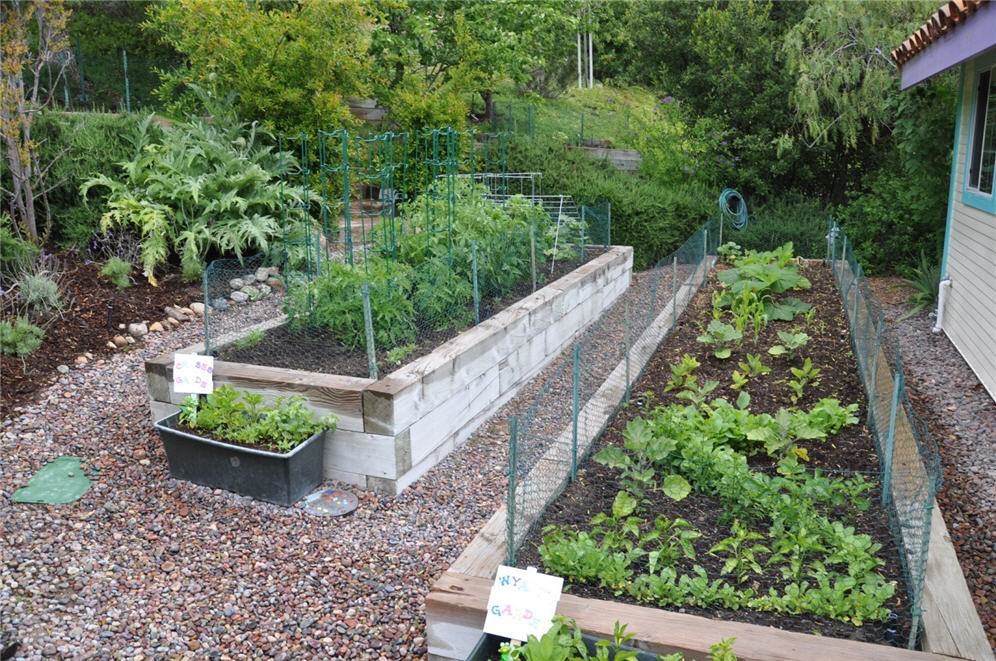Raised Vegetable Garden Area
