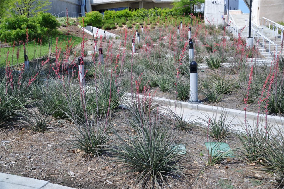 Terraced Plantings