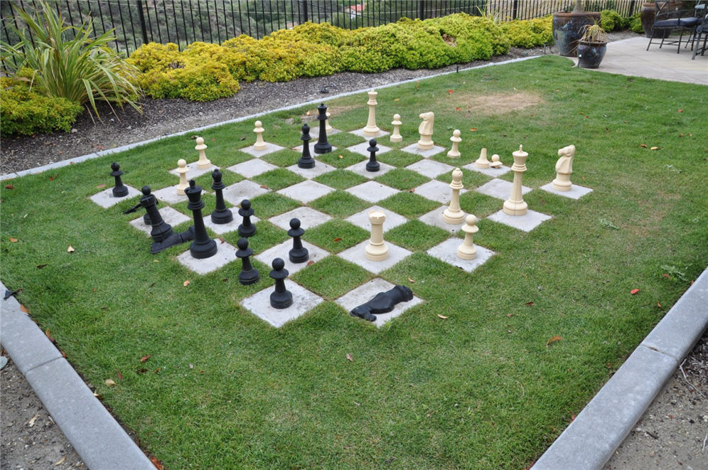 Chess Game in Backyard