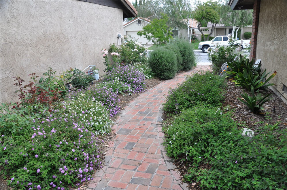 Brick Path with Color