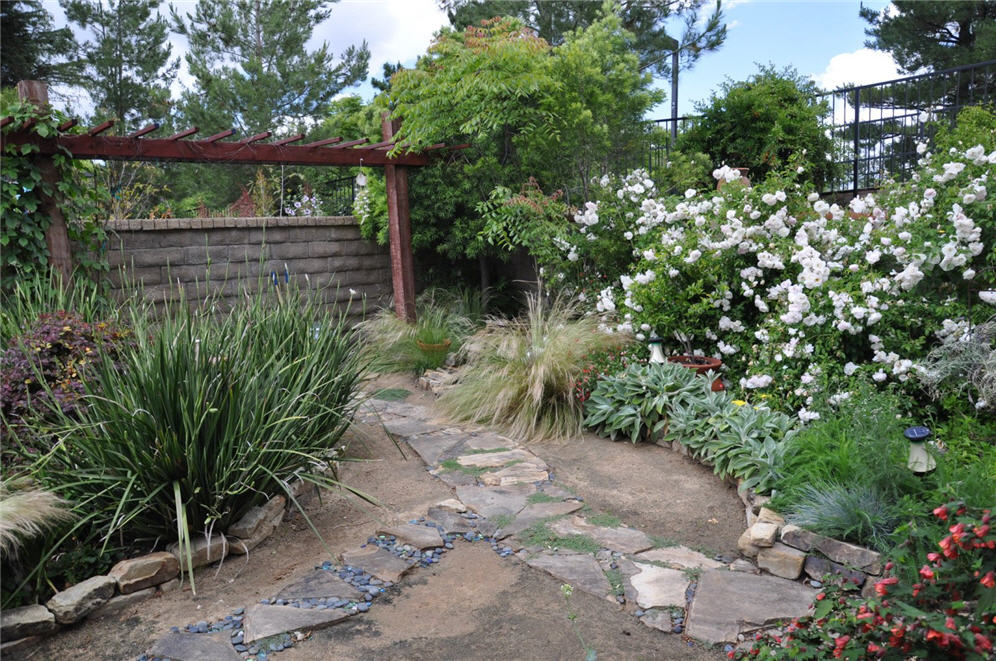 Meandering Walkway