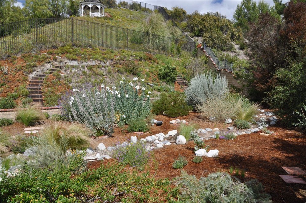 Hillside Backyard