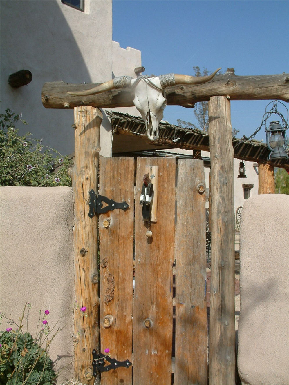 Bovine Skull Door