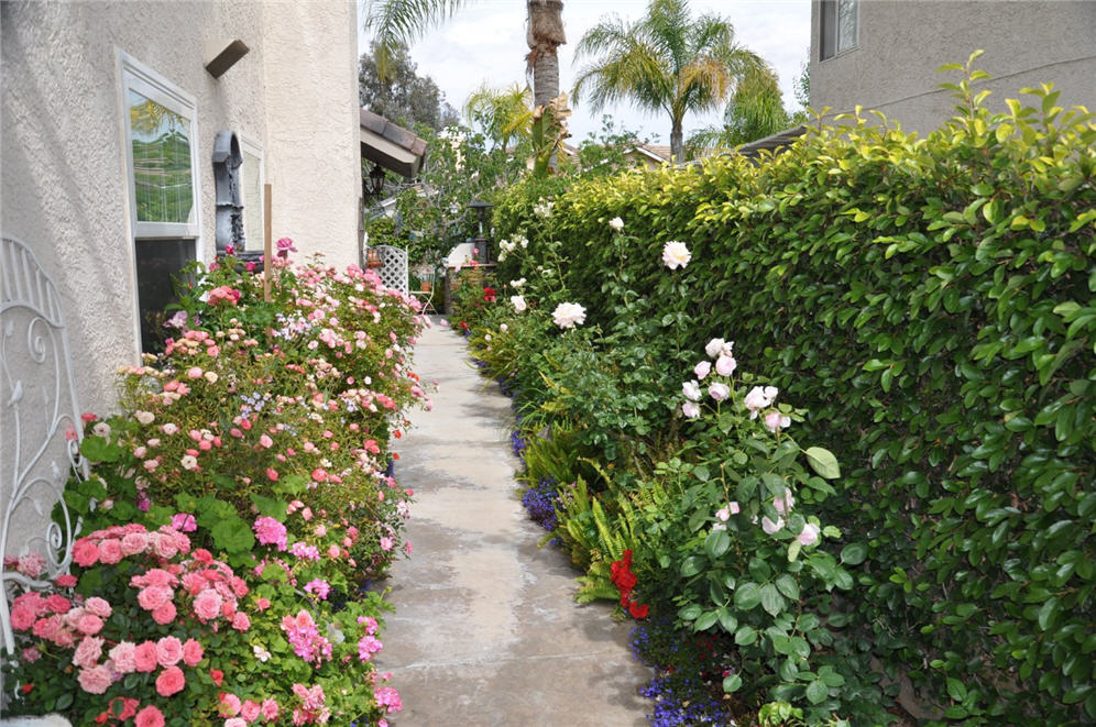 Fairyland Walkway of Color