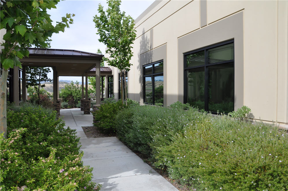 Walkway and Shrub Borders