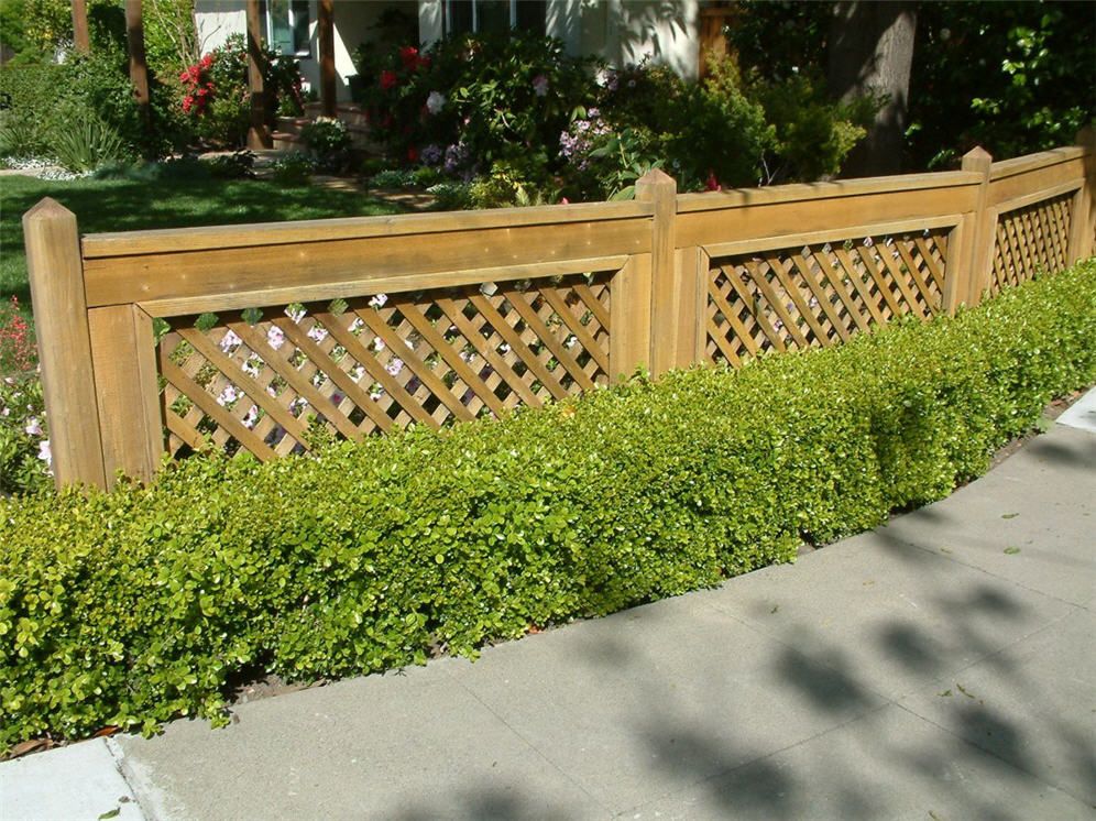 Formal Hedge and Fence