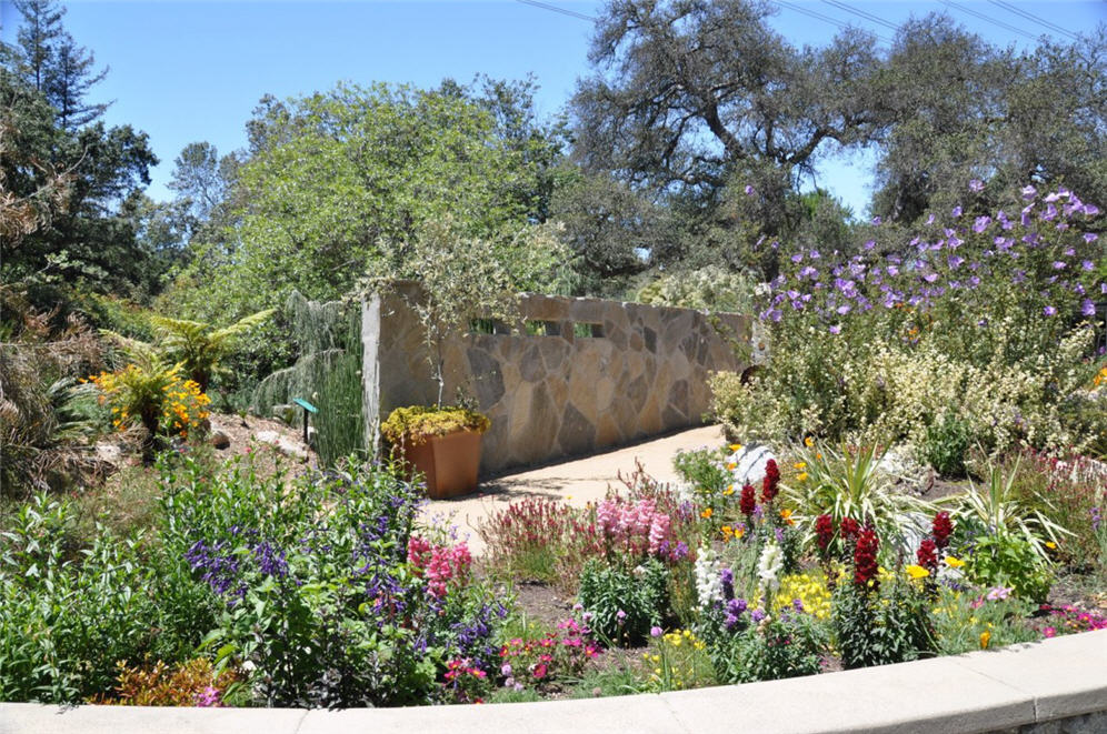 Flagstone Wall Garden